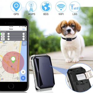 collier gps pour chien