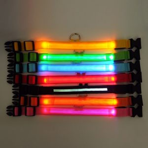Collier LED en nylon pour chien/chat