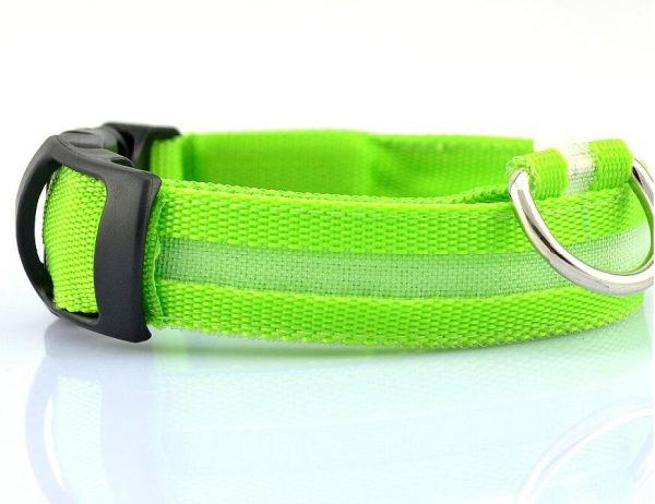 Collier LED en nylon pour chien/chat