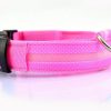 Collier LED en nylon pour chien/chat