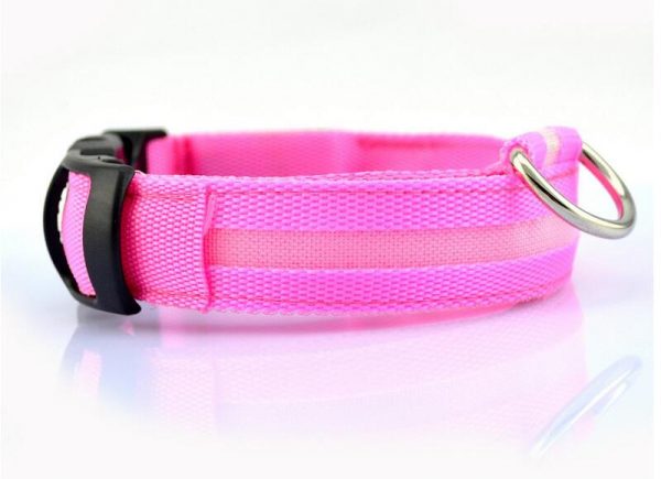 Collier LED en nylon pour chien/chat