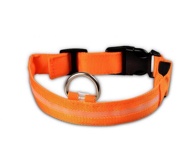 Collier LED en nylon pour chien/chat