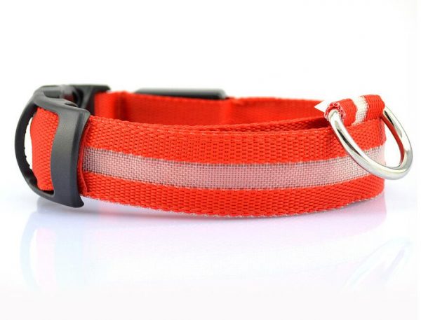 Collier LED en nylon pour chien/chat