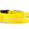 Collier LED en nylon pour chien/chat
