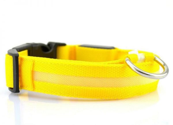 Collier LED en nylon pour chien/chat