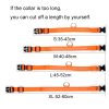 Collier LED en nylon pour chien/chat