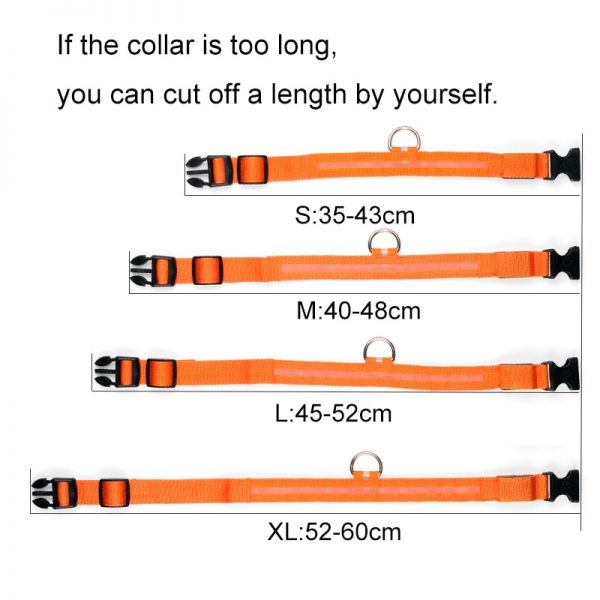 Collier LED en nylon pour chien/chat