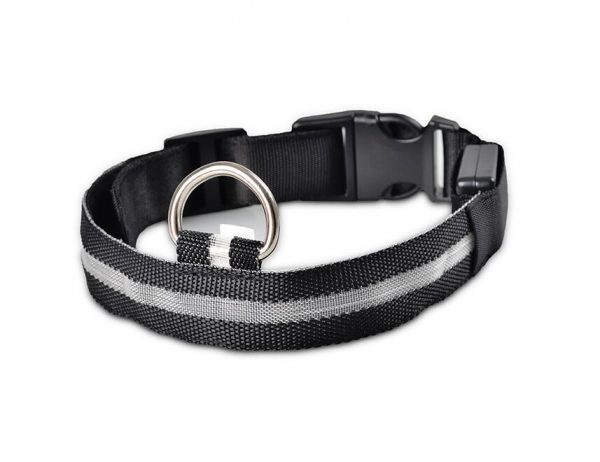 Collier LED en nylon pour chien/chat