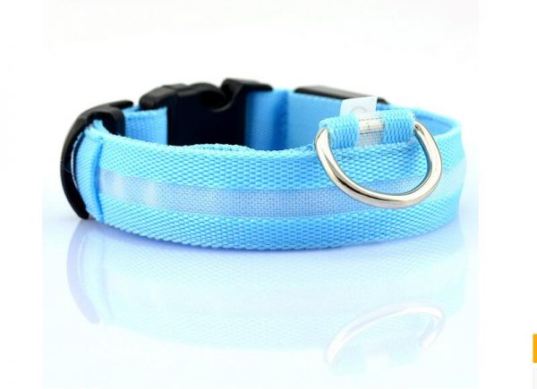 Collier LED en nylon pour chien/chat