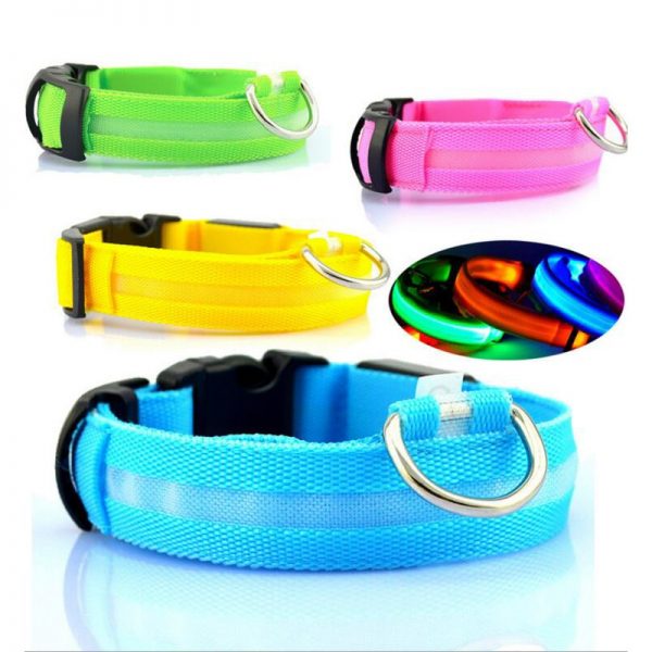 Collier LED en nylon pour chien/chat