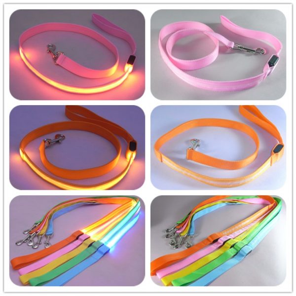 Laisse LED en Nylon