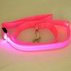 Laisse LED en Nylon