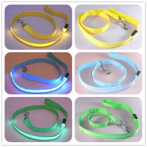 Laisse LED en Nylon