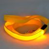 Laisse LED en Nylon