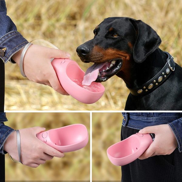 Distributeur d'eau Portable pour chiens