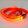 Laisse LED en Nylon