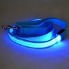 Laisse LED en Nylon