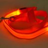 Laisse LED en Nylon