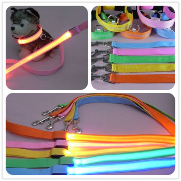 Laisse LED en Nylon