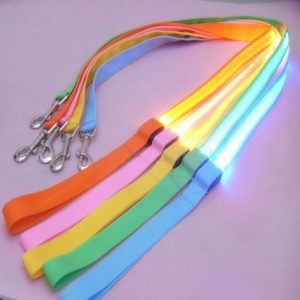 Laisse LED en Nylon