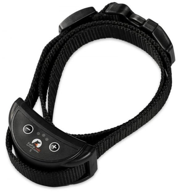 collier anti aboiement