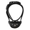 collier anti aboiement