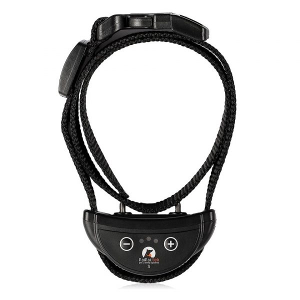 collier anti aboiement