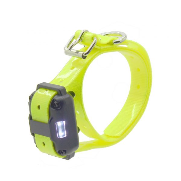 collier gps vert