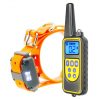 collier gps orange